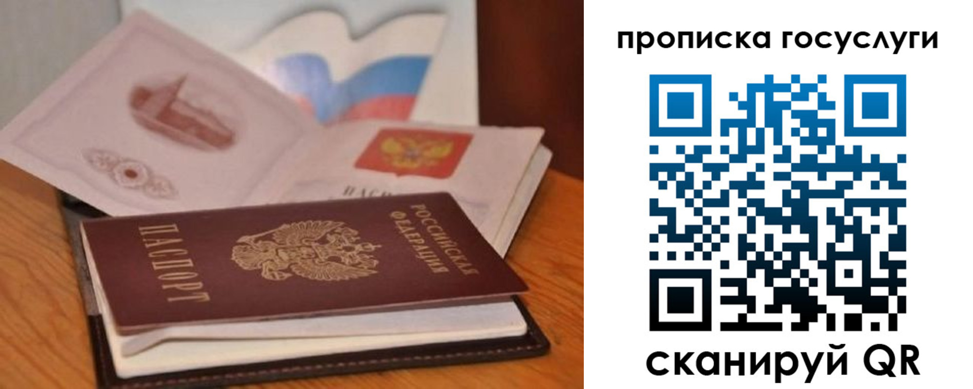прописка в квартире в Сертолово